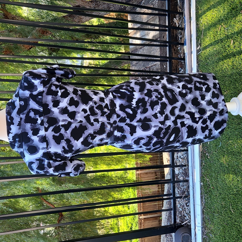 Carole Little Dress - Picture 4 of 9